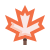 Maple leaf icon