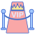 Vip icon