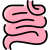 Small Intestine icon