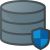 Database Security icon