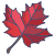 Maple icon