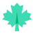 Maple Leaf icon