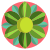 Mandala icon