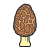 羊肚菌蘑菇 icon