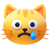 Crying Cat icon