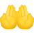 emoji-palmas-arribadas-juntas icon