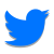 ツイッター icon