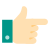 Hand Right Skin Type 1 icon