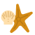 Estrella de mar icon