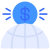 Dollar icon