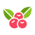 Berries icon