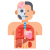 Human Organs icon