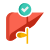 Liver icon