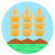 보리 icon