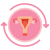 Menstrual Cycle icon