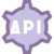 Paramètres de l'API icon