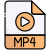 MP4 icon