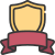 Shield icon