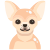 犬 icon