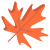 Maple Leaf icon