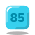 (85) icon
