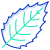 Holly Leaf icon