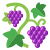 포도나무 가지 icon