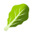 绿叶 icon