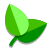 Cibo naturale icon