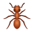 개미 이모티콘 icon