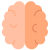 Cérebro icon