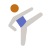 Taekwondo-Hauttyp-4 icon