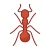 Ant icon