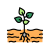 Growing Plant icon