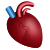 cuore anatomico icon