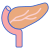 Pancreas icon