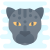 Черный ягуар icon