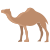 Camel icon