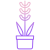 Pflanze in der Sonne icon
