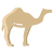 Camel icon