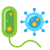 Bacteria icon