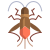 Boxelder Bug icon