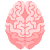 Gehirn icon