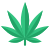 Folha da marijuana icon