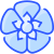 Hydrangea icon