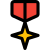 Star cross medal awarded for gallantry in action against an enemy icon