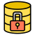 Database Security icon