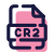 CR2 icon