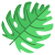 Monstera Leaf icon