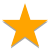 Estrella relleno icon